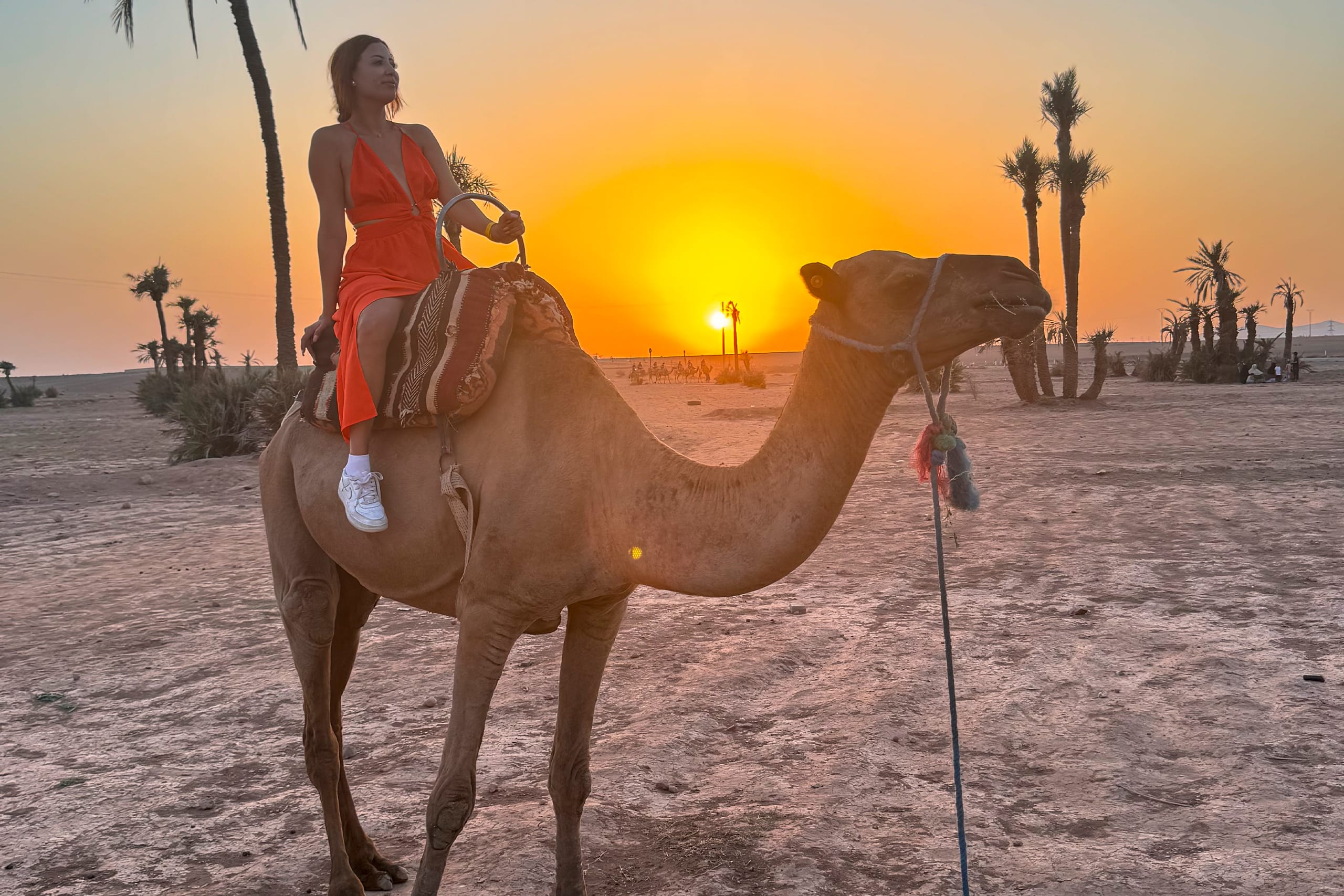 Camel-ride-in-the-Palmeraie-of-Marrakech
